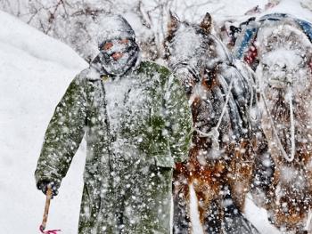 中国哈萨克族牧民的冬牧场生活